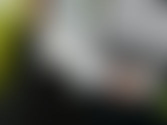 Person analysiert Haushaltskosten am Laptop als Symbol für steigende Lebenshaltungskosten und die Suche nach zusätzlichem Einkommen über VestChance.