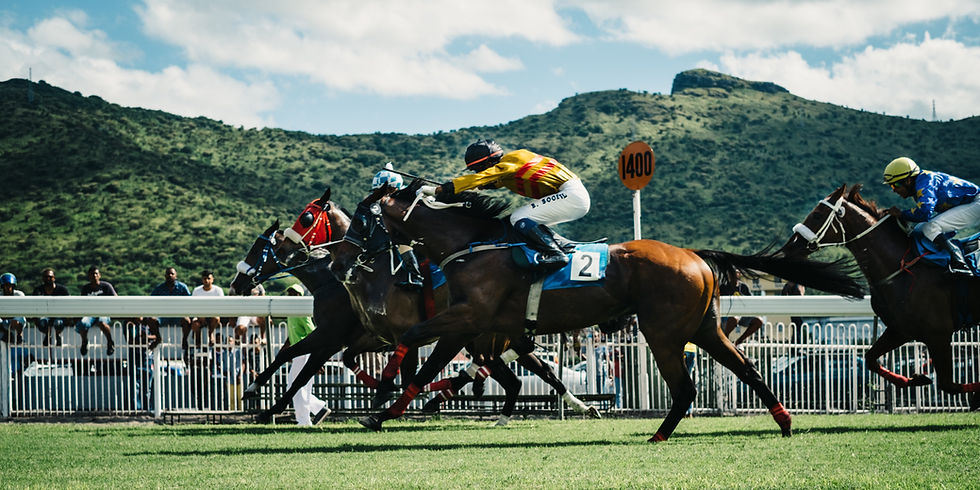 Sportwetten Quoten für Matched Betting ohne Risiko